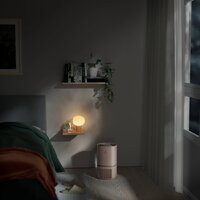 Очиститель воздуха Electrolux EPO50351BG - Превью изображения №8 — Интернет-магазин Time-Shop