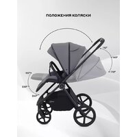 Универсальная коляска Rant Teo 2в1 RA120 (серый) - Превью изображения №11 — Интернет-магазин Time-Shop