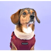 Куртка для животных Puppia Donavan PAUD-VT1853-WN-S (красный) - Превью изображения №4 — Интернет-магазин Time-Shop