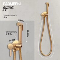 Гигиенический душ Hansberge H3099 (золото матовый) - Превью изображения №6 — Интернет-магазин Time-Shop