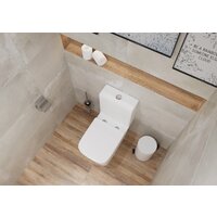 Унитаз напольный Lauter W09 P-TRAP 21900001 + гигиенический душ Jet 21TZ232BM (горизонтальный выпуск) - Превью изображения №10 — Интернет-магазин Time-Shop