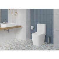 Унитаз напольный Lauter W09 P-TRAP 21900001 + гигиенический душ Jet 21TZ232BM (горизонтальный выпуск) - Превью изображения №12 — Интернет-магазин Time-Shop