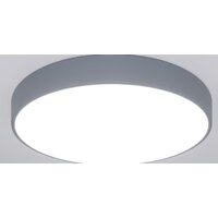 Евросвет 90320/1 серый