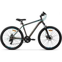AIST Rocky 1.0 Disc 26 р.13 2026 (серый/синий)