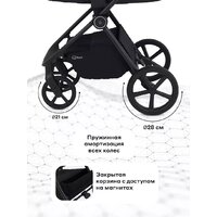 Универсальная коляска Rant Teo 2в1 RA120 (графит) - Превью изображения №15 — Интернет-магазин Time-Shop