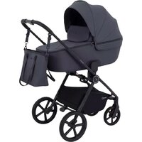 Rant Teo 2в1 RA120 (графит)