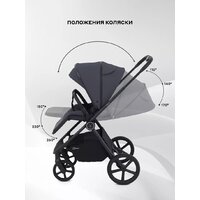Универсальная коляска Rant Teo 2в1 RA120 (графит) - Превью изображения №11 — Интернет-магазин Time-Shop