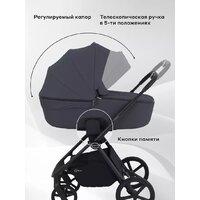 Универсальная коляска Rant Teo 2в1 RA120 (графит) - Превью изображения №4 — Интернет-магазин Time-Shop