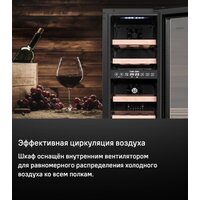 Винный шкаф MAUNFELD MBWC-56D17 - Превью изображения №9 — Интернет-магазин Time-Shop