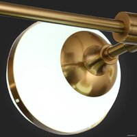 Подвесная люстра ST Luce Arbe SL1157.303.09 - Превью изображения №5 — Интернет-магазин Time-Shop