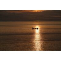 Объектив Sony FE 70-200 mm F2.8 GM OSS II - Превью изображения №23 — Интернет-магазин Time-Shop