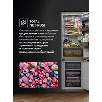 Холодильник LEX LBI177.3ID Grey - Превью изображения №5 — Интернет-магазин Time-Shop