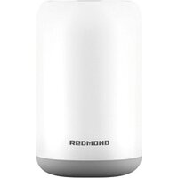 Redmond (Редмонд) AD3301