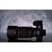 Объектив Nikon NIKKOR Z MC 105mm f/2.8 VR S - Превью изображения №7 — Интернет-магазин Time-Shop