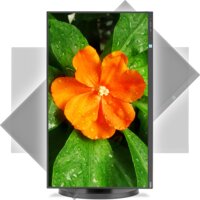 Монитор NEC MultiSync E271N-BK - Превью изображения №4 — Интернет-магазин Time-Shop