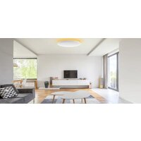 Светильник-тарелка Yeelight Arwen Ceiling Light 450C YLXD013-B - Превью изображения №2 — Интернет-магазин Time-Shop