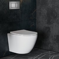 Унитаз подвесной Roxen Antares One Rimless 6 в 1 StounFix Dual Fresh 613423 (оружейная сталь/металл) - Превью изображения №13 — Интернет-магазин Time-Shop