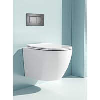 Унитаз подвесной Roxen Antares One Rimless 6 в 1 StounFix Dual Fresh 613423 (оружейная сталь/металл) - Превью изображения №11 — Интернет-магазин Time-Shop