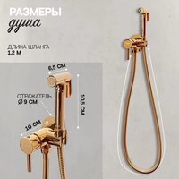 Гигиенический душ Hansberge H3099 (золото глянец) - Превью изображения №7 — Интернет-магазин Time-Shop