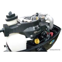 Лодочный мотор Parsun F5 BMS - Превью изображения №2 — Интернет-магазин Time-Shop