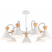 Evoluce Modica SLE125102-07