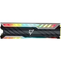 Netac NV3000 RGB 500GB NT01NV3000RGB-500-E4X