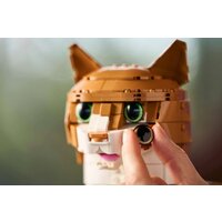 Конструктор LEGO Ideas 21376 Рыжий кот - Превью изображения №12 — Интернет-магазин Time-Shop