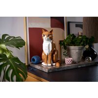 Конструктор LEGO Ideas 21376 Рыжий кот - Превью изображения №9 — Интернет-магазин Time-Shop