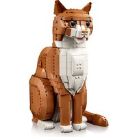 Конструктор LEGO Ideas 21376 Рыжий кот - Превью изображения №2 — Интернет-магазин Time-Shop