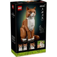 Конструктор LEGO Ideas 21376 Рыжий кот - Превью изображения №15 — Интернет-магазин Time-Shop