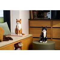 Конструктор LEGO Ideas 21376 Рыжий кот - Превью изображения №14 — Интернет-магазин Time-Shop