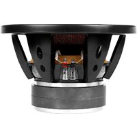 Головка сабвуфера Урал АК-10 М - Превью изображения №6 — Интернет-магазин Time-Shop