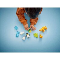 Конструктор LEGO Duplo Семейства диких животных: Пингвины и Львы 10442 - Превью изображения №8 — Интернет-магазин Time-Shop
