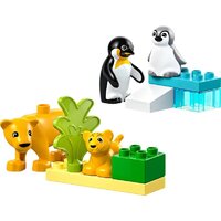 Конструктор LEGO Duplo Семейства диких животных: Пингвины и Львы 10442 - Превью изображения №2 — Интернет-магазин Time-Shop