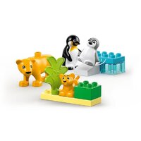 Конструктор LEGO Duplo Семейства диких животных: Пингвины и Львы 10442 - Превью изображения №3 — Интернет-магазин Time-Shop