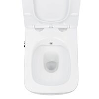 Унитаз подвесной Roxen Cube bidet в комплекте с инсталляцией StounFix Dual Fresh 6 в 1 968472 (кнопка: брашированное золото) - Превью изображения №7 — Интернет-магазин Time-Shop