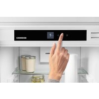 Однокамерный холодильник Liebherr IRe 5100 Pure - Превью изображения №10 — Интернет-магазин Time-Shop