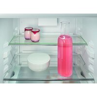 Холодильник Liebherr ICNd 5123 Plus NoFrost 5123-22001 - Превью изображения №11 — Интернет-магазин Time-Shop