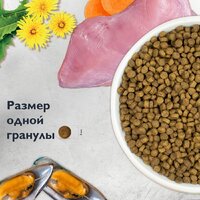 Сухой корм для кошек Brit care Superpremium Kitten с индейкой для котят, беременных и кормящих кошек (здоровый рост) 7 кг - Превью изображения №9 — Интернет-магазин Time-Shop