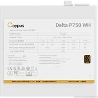 Блок питания Ocypus Delta P750 Delta-P750-B1FDWH025X-EU - Превью изображения №5 — Интернет-магазин Time-Shop