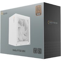 Блок питания Ocypus Delta P750 Delta-P750-B1FDWH025X-EU - Превью изображения №7 — Интернет-магазин Time-Shop