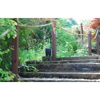  Taga Harmony TOS-315 (черный) - Превью изображения №7 — Интернет-магазин Time-Shop