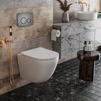 Унитаз подвесной Roxen Antares One Rimless 6 в 1 StounFix Dual Fresh 624013 (оружейная сталь/металл) - Превью изображения №10 — Интернет-магазин Time-Shop