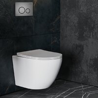 Унитаз подвесной Roxen Antares One Rimless 6 в 1 StounFix Dual Fresh 624013 (оружейная сталь/металл) - Превью изображения №11 — Интернет-магазин Time-Shop