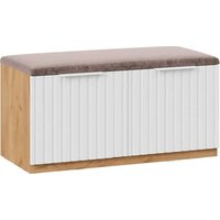 Трия Хилтон Исп.2.2 (дуб крафт золотой/белый матовый)