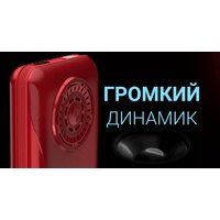 Кнопочный телефон Maxvi P110 (красный) - Превью изображения №20 — Интернет-магазин Time-Shop