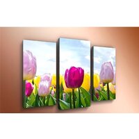 Arthata m-000566 120x80