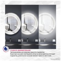 Зеркало Doratiz Ева 100x80 2711.919 - Превью изображения №10 — Интернет-магазин Time-Shop