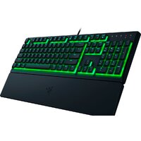 Клавиатура Razer Ornata V3 X (нет кириллицы) - Превью изображения №5 — Интернет-магазин Time-Shop