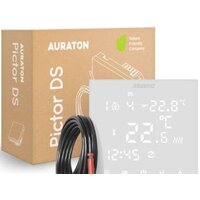 Auraton Pictor DS